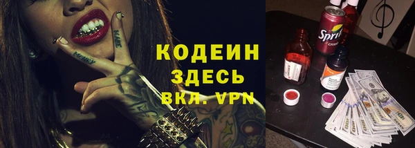 молекула духа Богданович