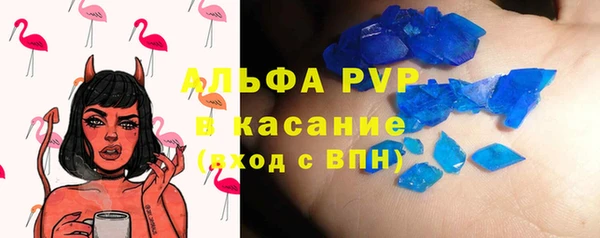 молекула духа Богданович