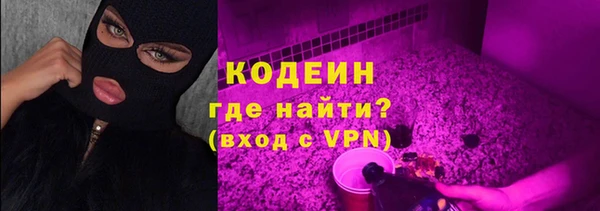 молекула духа Богданович