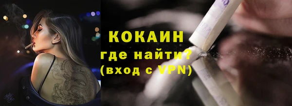 молекула духа Богданович
