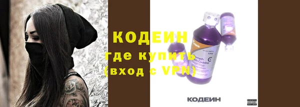 молекула духа Богданович