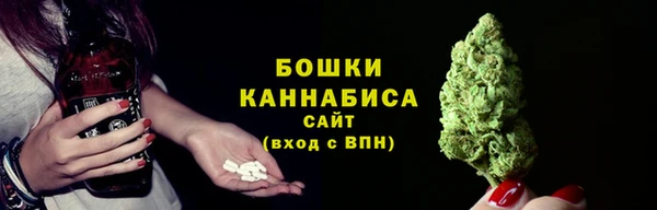 молекула духа Богданович