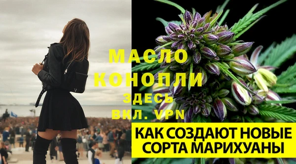 кокаин перу Михайлов