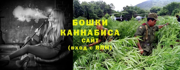синтетический гашиш Богородицк