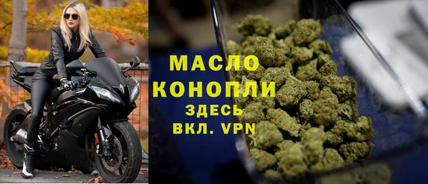 молекула духа Богданович