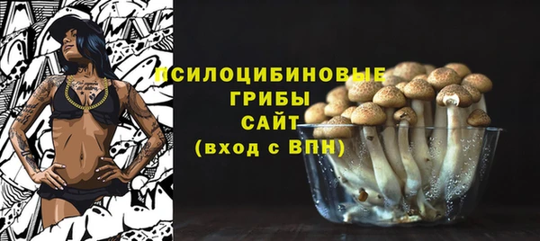 синтетический гашиш Богородицк