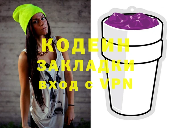 молекула духа Богданович