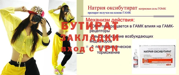 молекула духа Богданович
