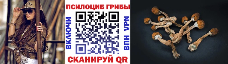купить  сайты  Белоусово  ОМГ ОМГ как зайти  Галлюциногенные грибы Cubensis 